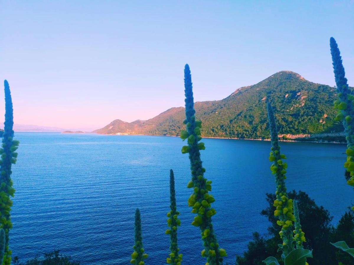 Villa Anita Sobra Esterno foto